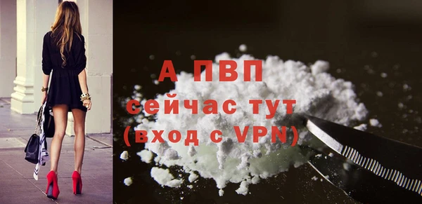 ешки Белокуриха