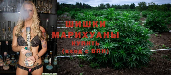 ешки Белокуриха