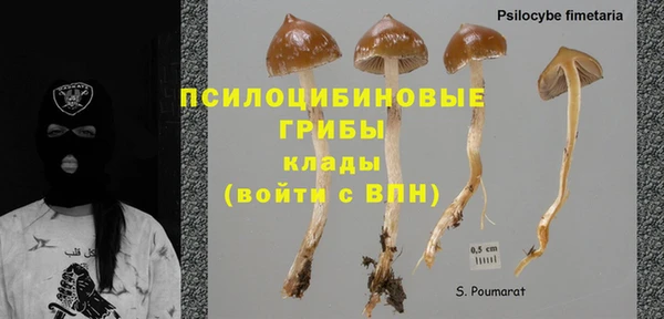 apvp Белоозёрский