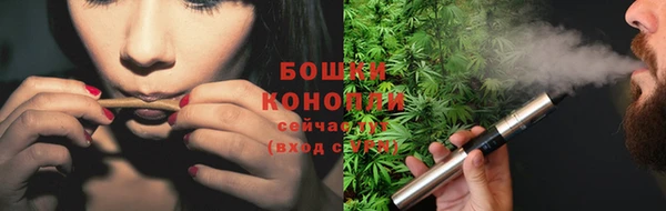 ешки Белокуриха