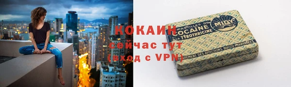 ешки Белокуриха