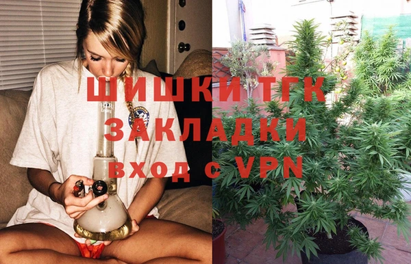 ешки Белокуриха
